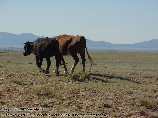 Some of the locals you might see when visiting the Estancia Ranchettes subdivision in Torrance County by Moriarty and close to Albuquerque!  Great place for an off-grid home!